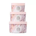 Starbucks Starbucks Korea X Swell